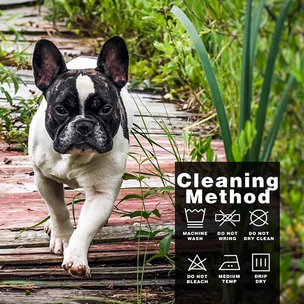 Paiaite Blue Chihuahua Dog Hoodie: Keep Your Pup Warm and Stylish with a 'The Dog Face' Printed Sweatshirt, Pet Clothes, and Sweater Coat All in One - Perfect for Winter and Cool Summer Nights! M