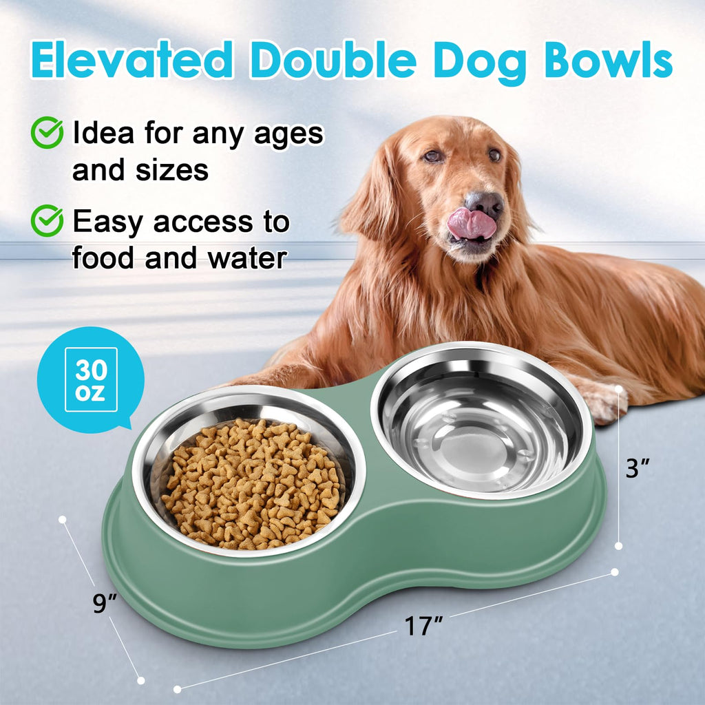 Dog Bowls Double Dog Water and Food Bowl Stainless Steel Bowl with Non-Slip Resin Station, Pet Feeder Bowls for Puppy Medium Dogs Cats
