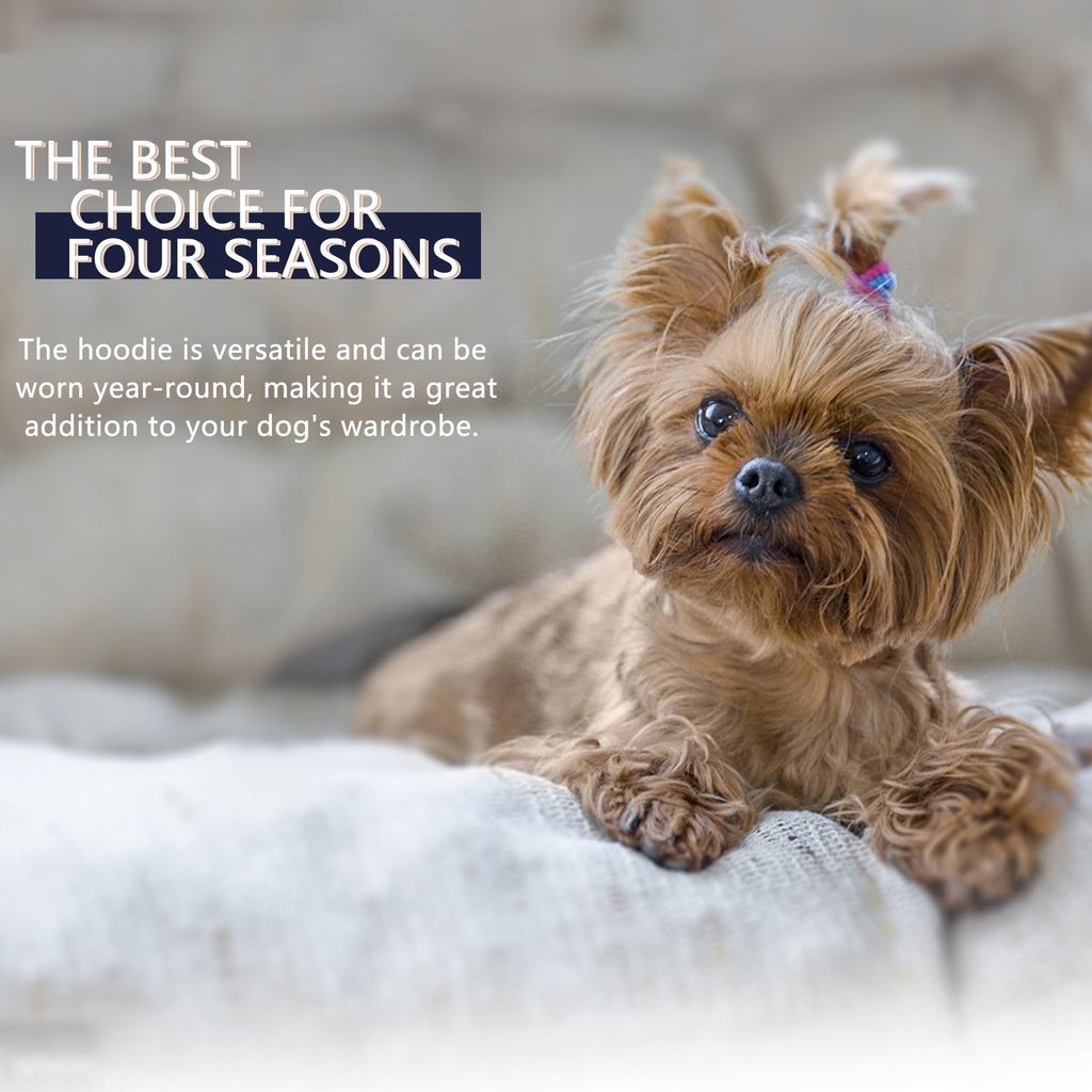 Paiaite Blue Chihuahua Dog Hoodie: Keep Your Pup Warm and Stylish with a 'The Dog Face' Printed Sweatshirt, Pet Clothes, and Sweater Coat All in One - Perfect for Winter and Cool Summer Nights! M