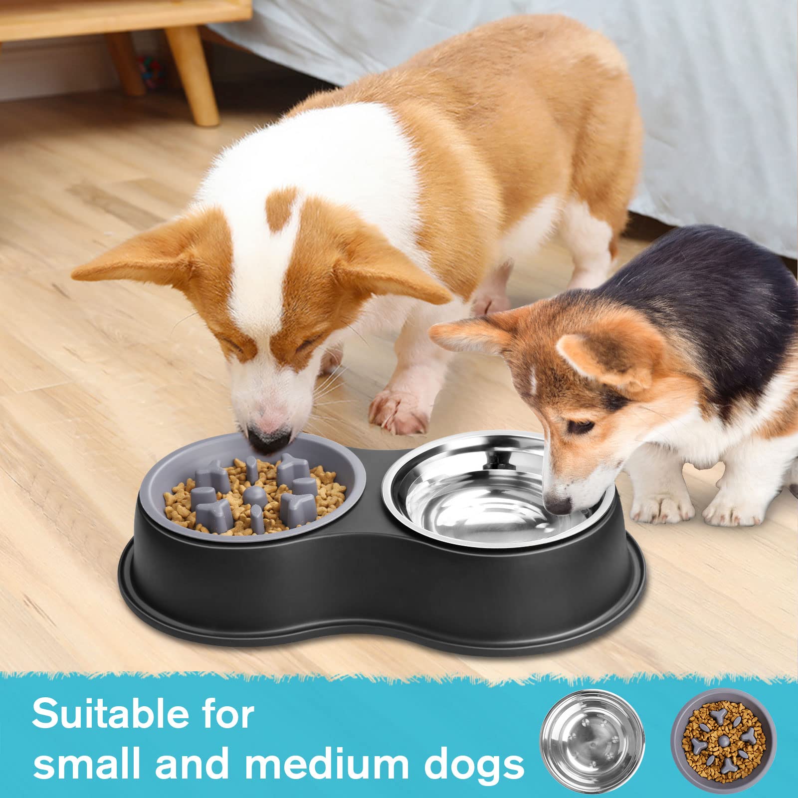 Dog Bowls Double Dog Water and Food Bowl Stainless Steel Bowl with Non-Slip Resin Station, Pet Feeder Bowls for Puppy Medium Dogs Cats