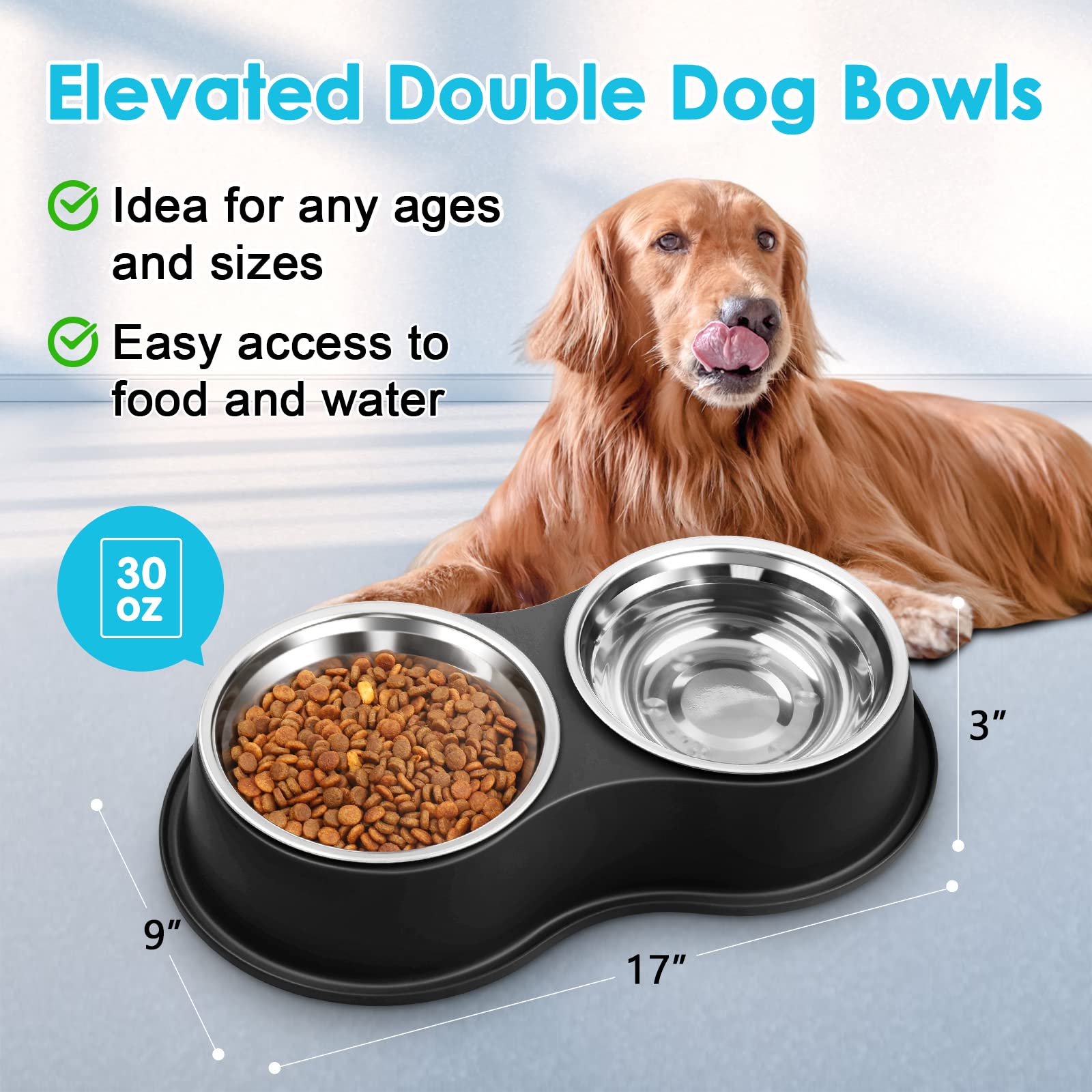 Dog Bowls Double Dog Water and Food Bowl Stainless Steel Bowl with Non-Slip Resin Station, Pet Feeder Bowls for Puppy Medium Dogs Cats