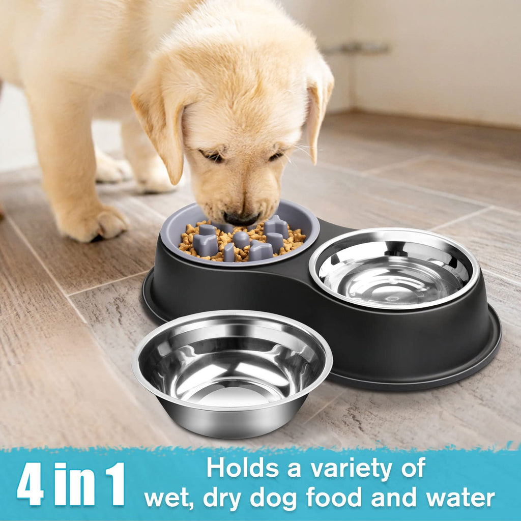 Dog Bowls Double Dog Water and Food Bowl Stainless Steel Bowl with Non-Slip Resin Station, Pet Feeder Bowls for Puppy Medium Dogs Cats