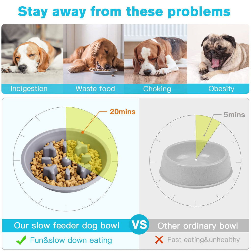 Dog Bowls Double Dog Water and Food Bowl Stainless Steel Bowl with Non-Slip Resin Station, Pet Feeder Bowls for Puppy Medium Dogs Cats