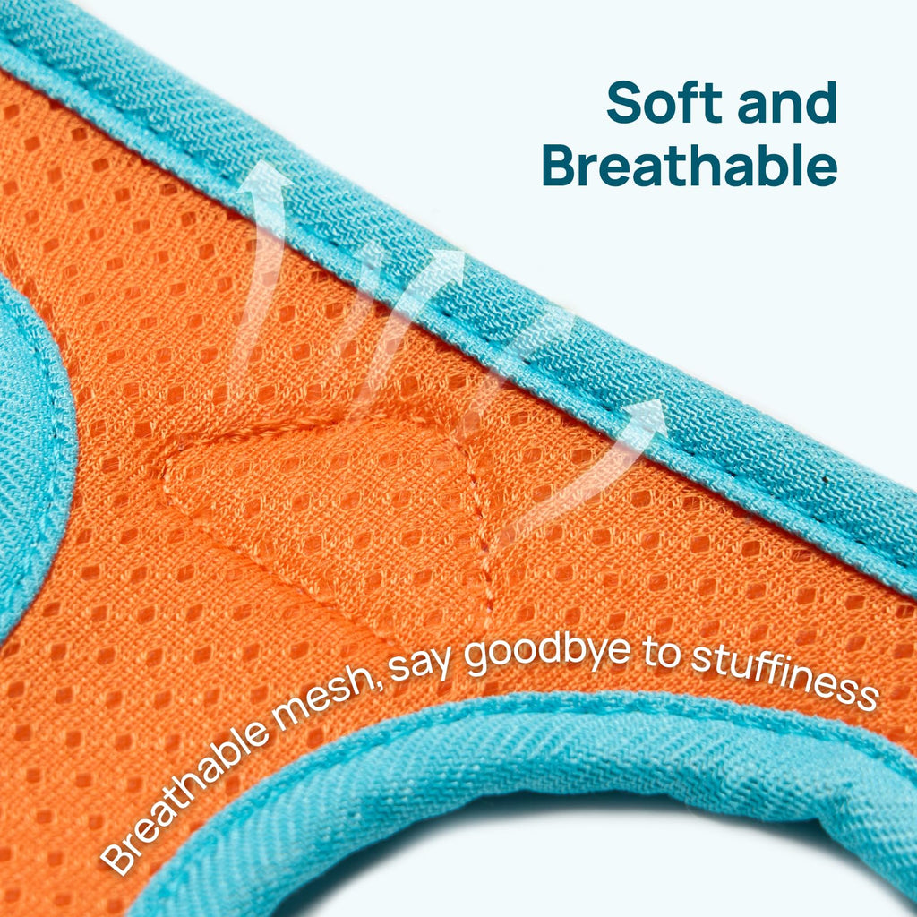 Cat Harness and Leash Set, Step-in Escape Proof Adjustable Vest Harness for Small Medium Large Cats, Lightweight Soft Breathable Reflective Kitten Harness for Walking Travel, Camping(Green, XS)