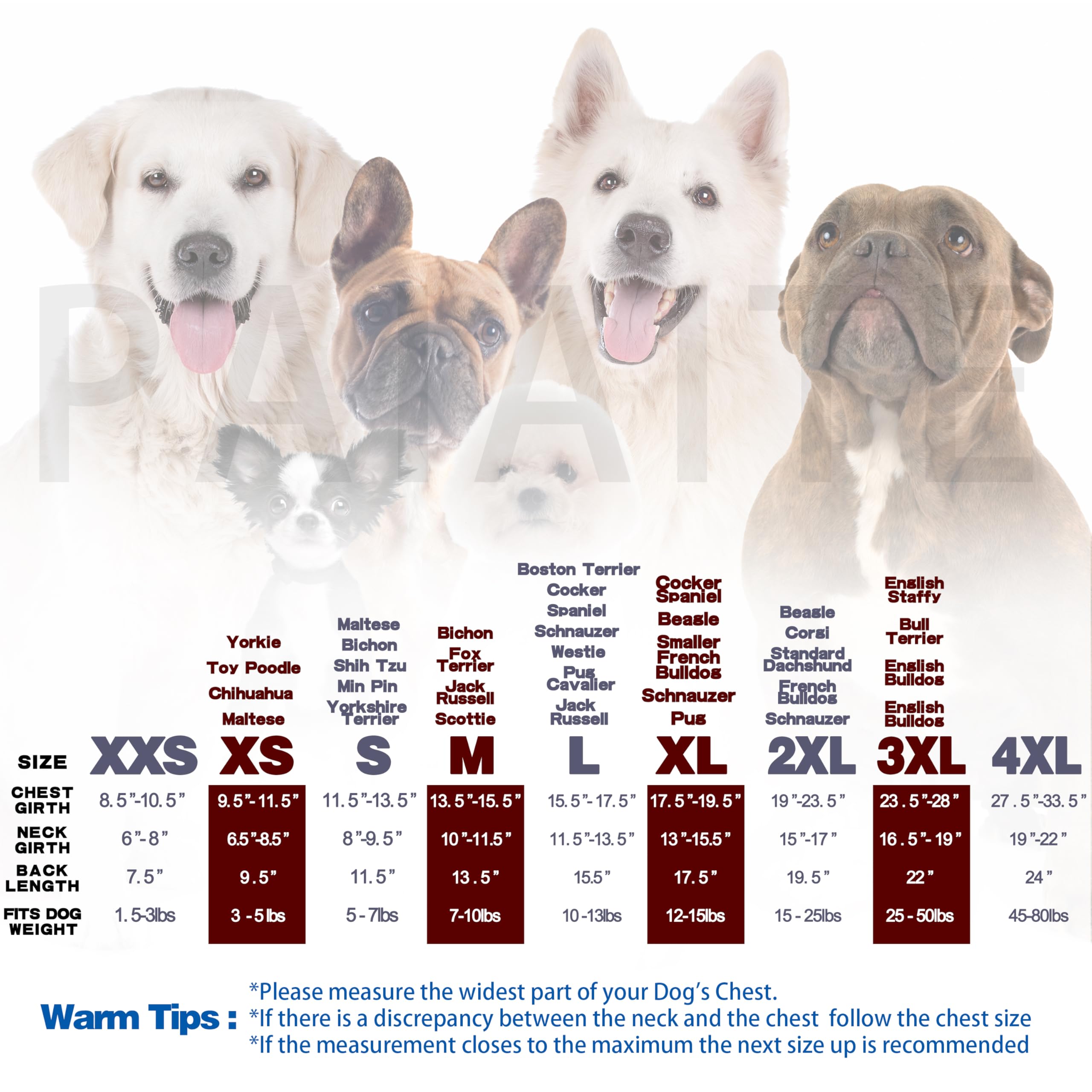 Paiaite Blue Chihuahua Dog Hoodie: Keep Your Pup Warm and Stylish with a 'The Dog Face' Printed Sweatshirt, Pet Clothes, and Sweater Coat All in One - Perfect for Winter and Cool Summer Nights! M