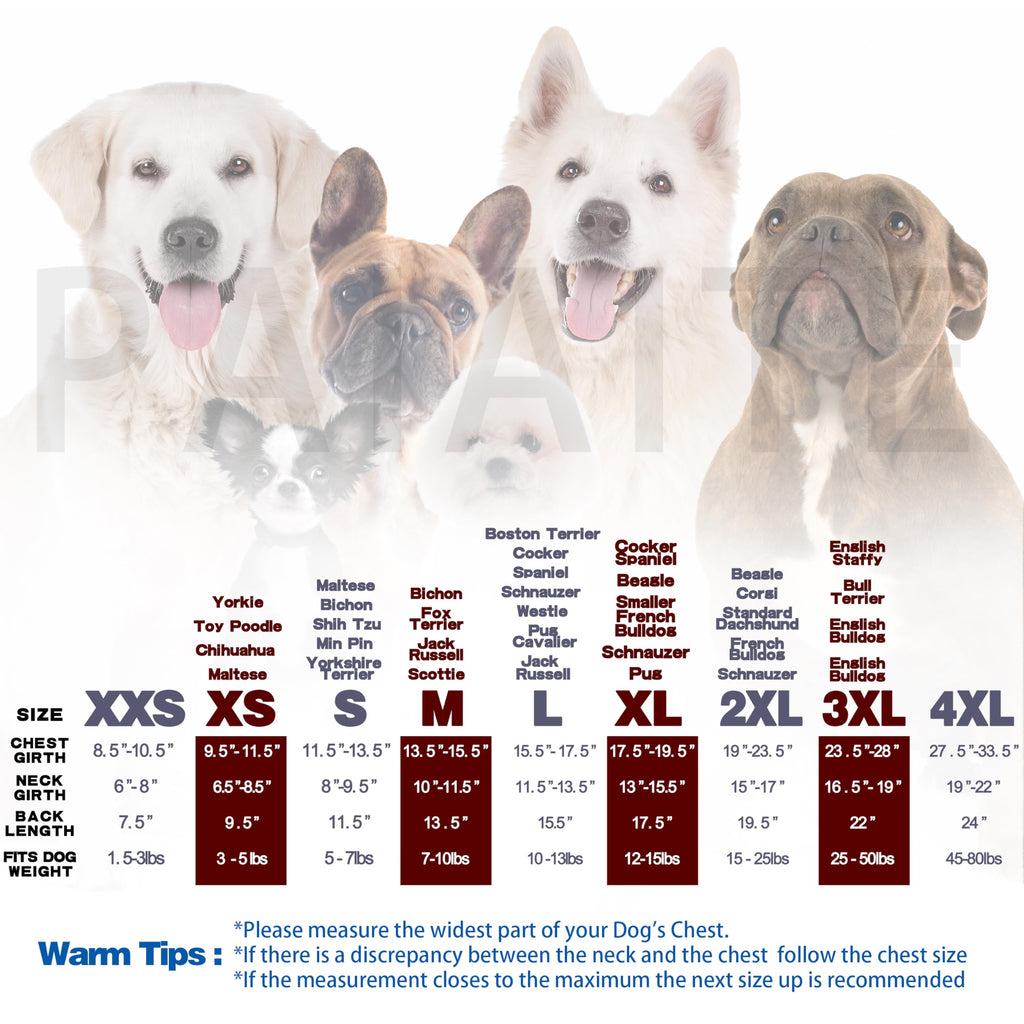 Paiaite Blue Chihuahua Dog Hoodie: Keep Your Pup Warm and Stylish with a 'The Dog Face' Printed Sweatshirt, Pet Clothes, and Sweater Coat All in One - Perfect for Winter and Cool Summer Nights! M